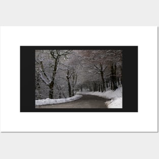 Snow covered woodland tree tunnel over road Posters and Art